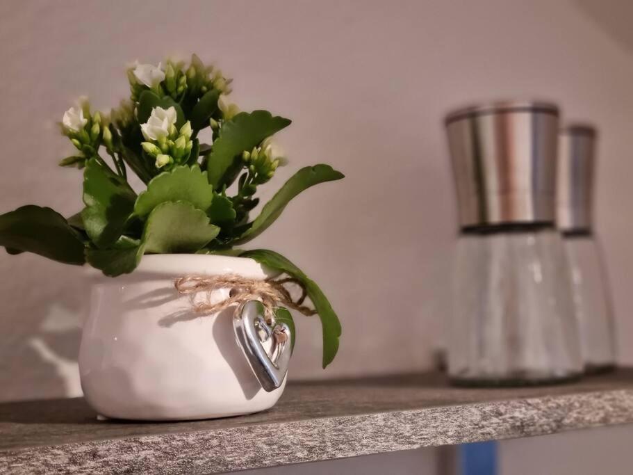 פפולנדורף Ferienwohnung Seeblick מראה חיצוני תמונה